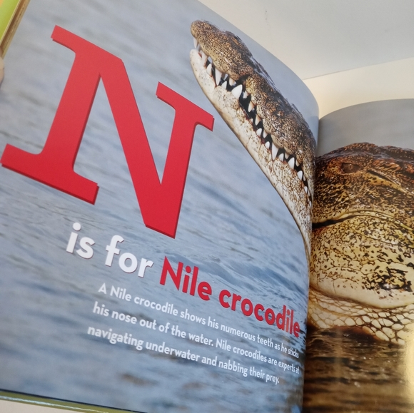 National geographic kids African animal alphabet book. Children's books - Picture 4 of 6